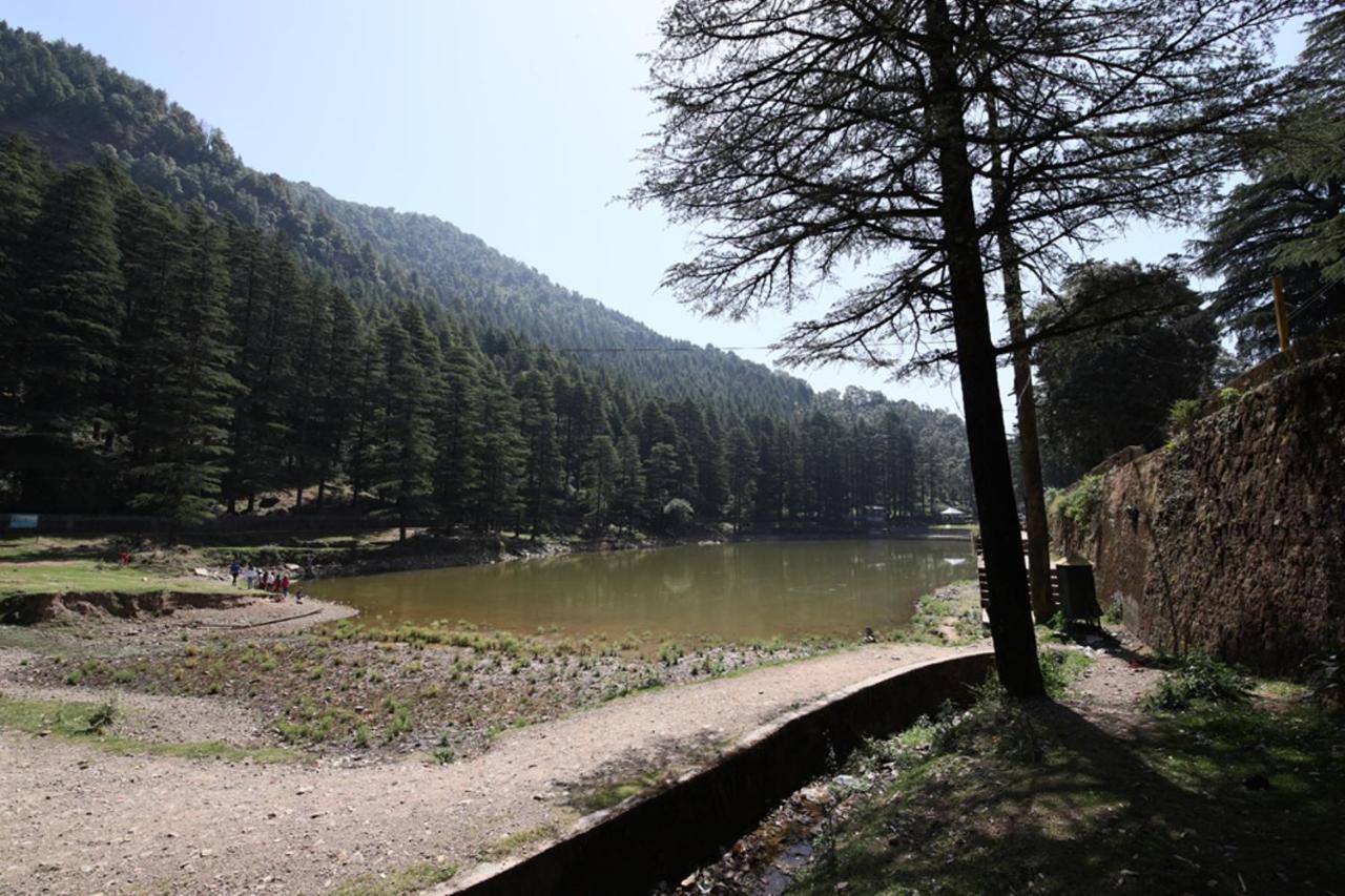 מלון מקלוד גאנג' Harmony Blue Mcleodganj מראה חיצוני תמונה
